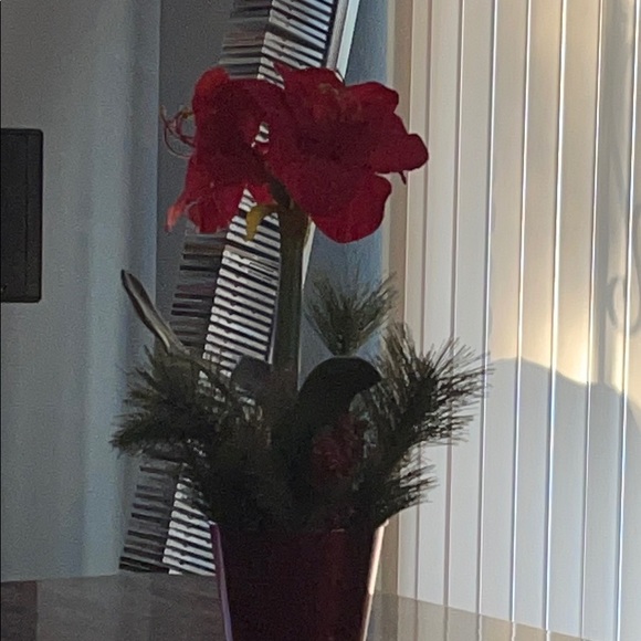 Meet your Posher, Althea - Picture 1 of 1